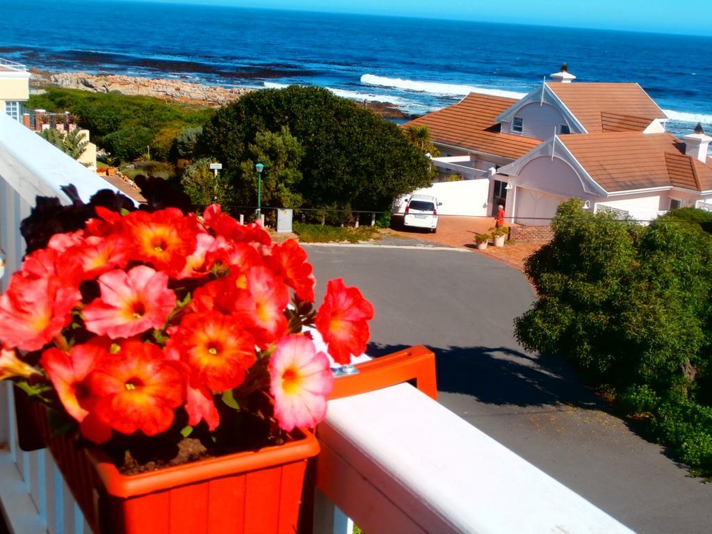 Belle Vue Guesthouse Hermanus Exterior photo