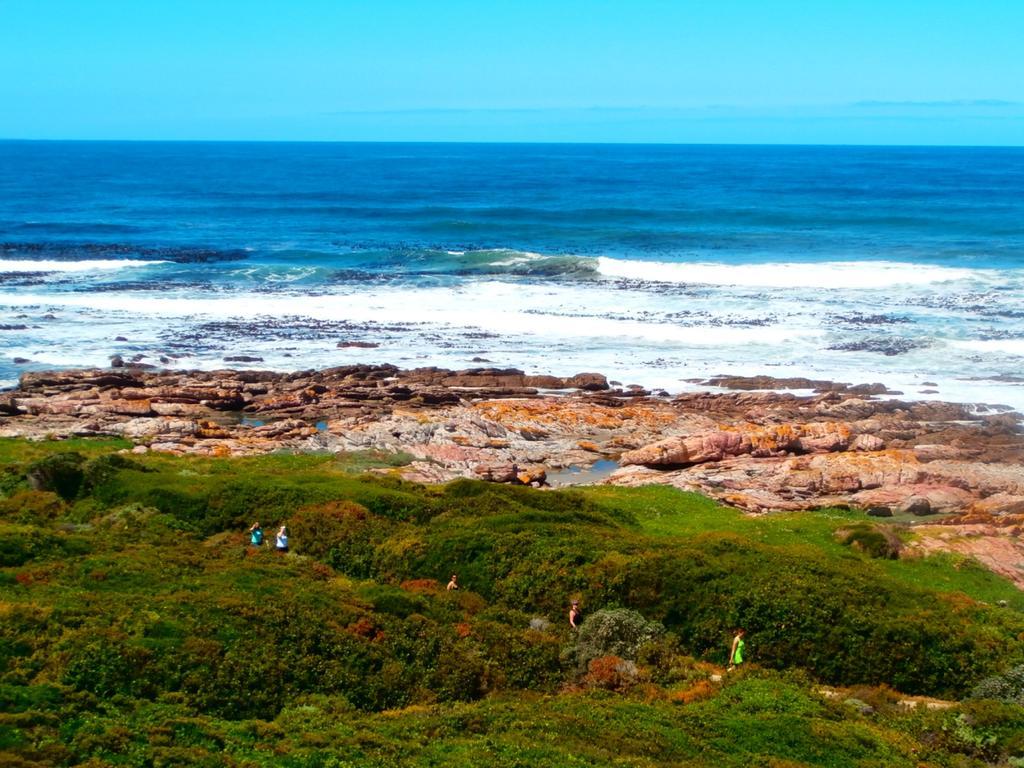 Belle Vue Guesthouse Hermanus Exterior photo